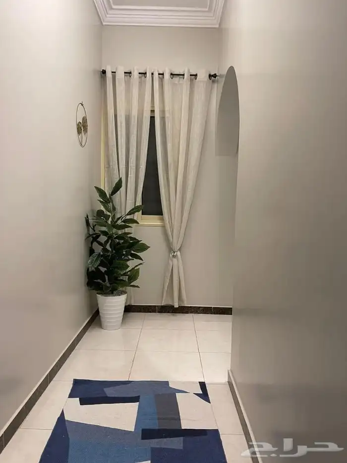 جناح فندقي للإيجار سنة دراسية 1