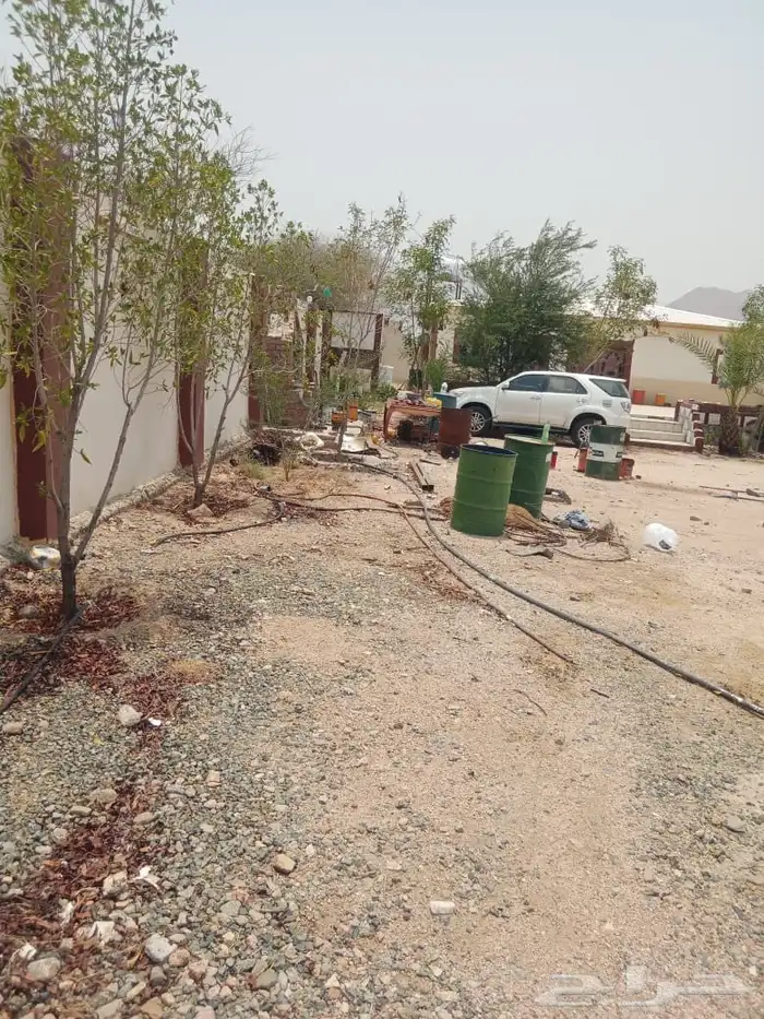 استراحة بوادي نعمان للإيجار السنوي 0