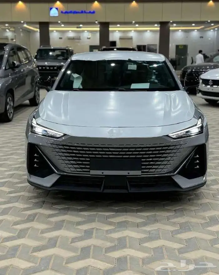 شانجان يوني في ايليت 2025 ايليت 12