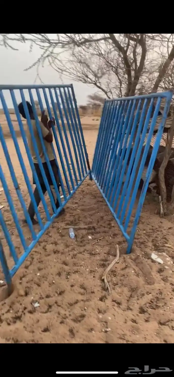شبك ابل 1