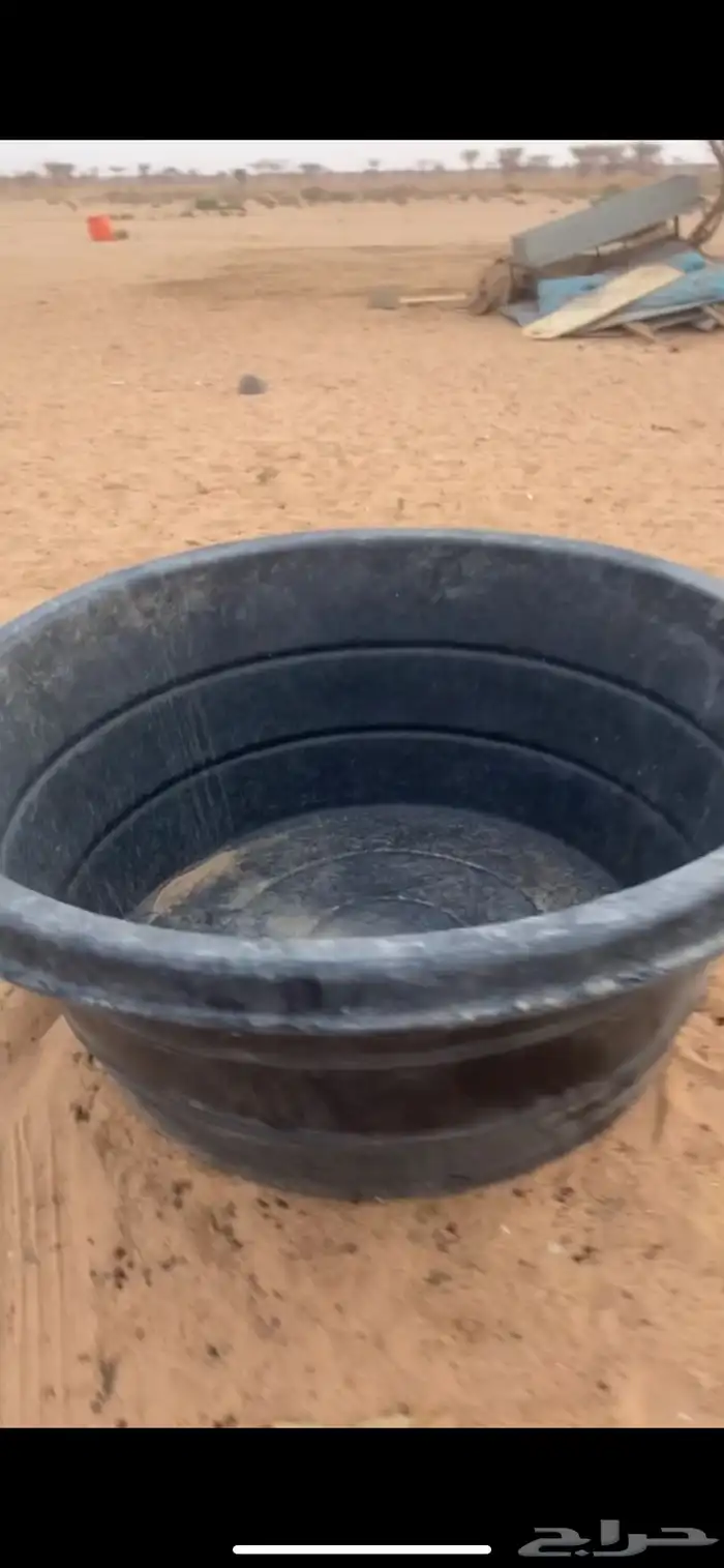 شبك ابل 2