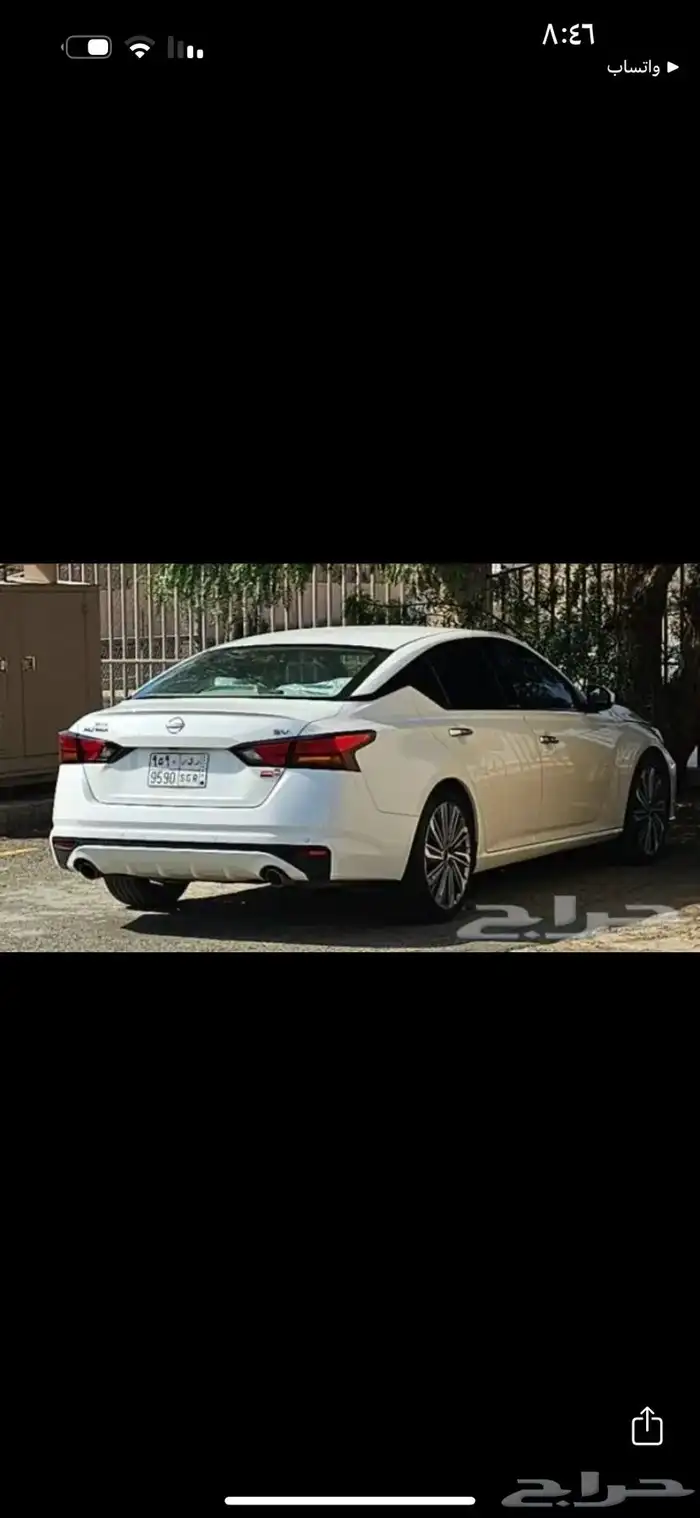 التيما 2023 2