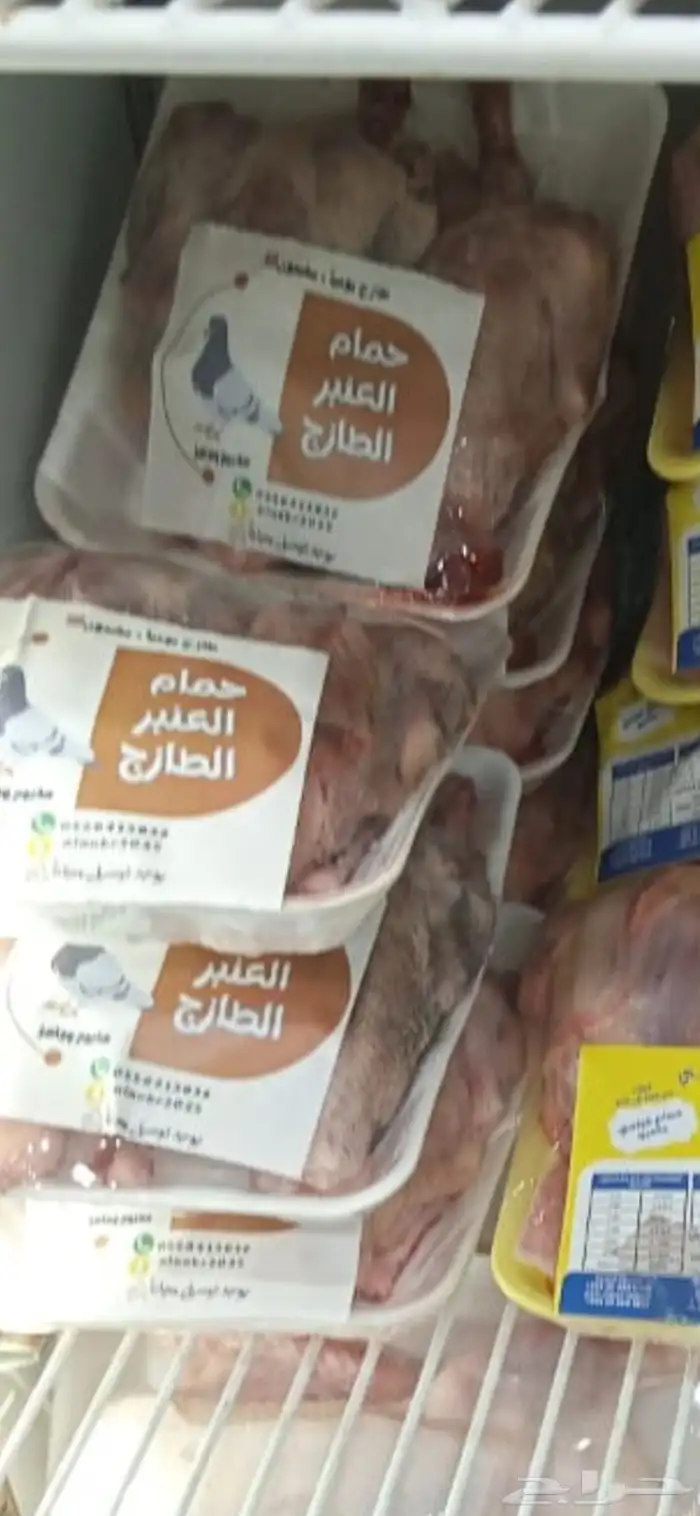 حمام زغاليل مذبوح جاهز 1