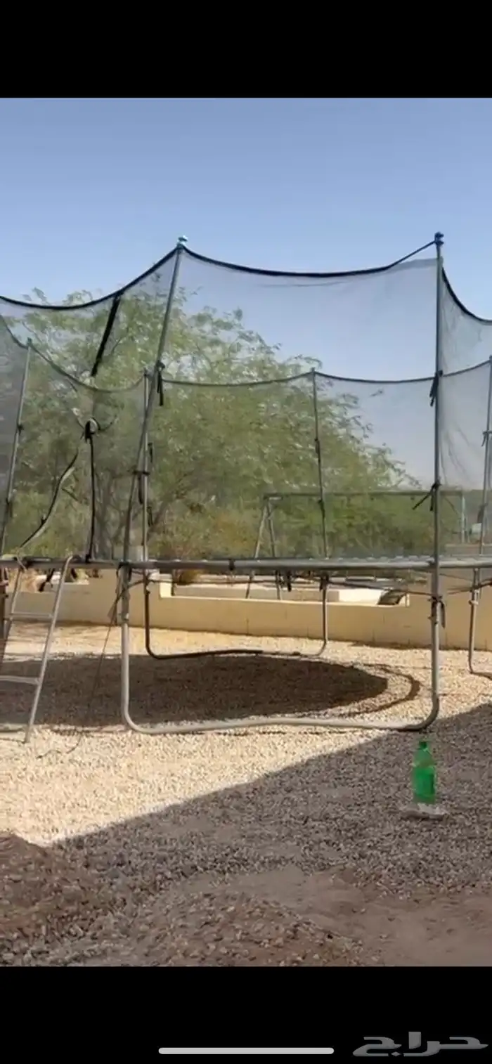 نطيطه للبيع 0