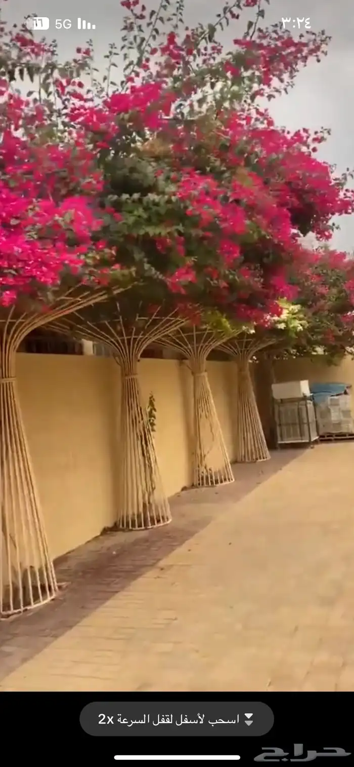 ستاند جهنميه 0