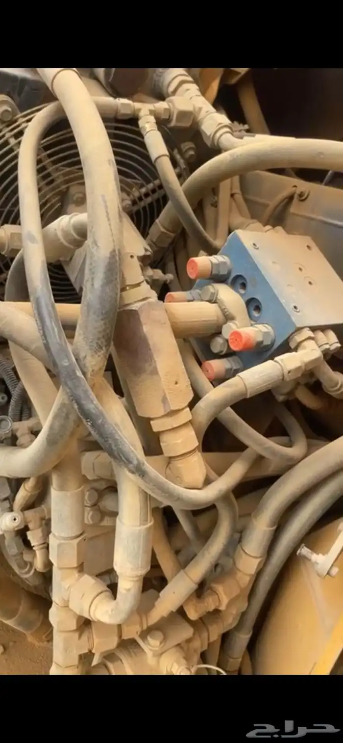 الحق على الطييب والرخيص 0