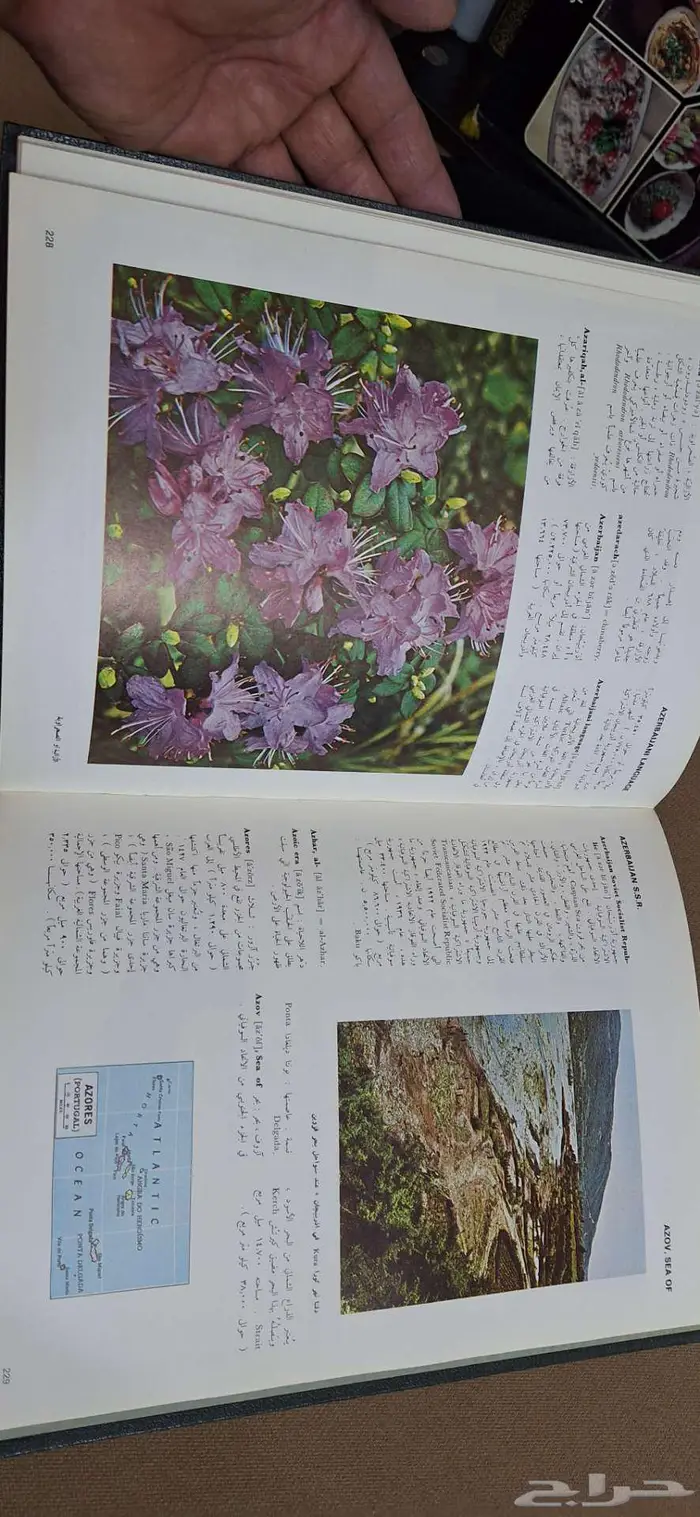 كتب ومجلدات موسوعة المورد 8