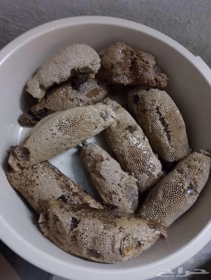 عسل بري حر اليوم 0