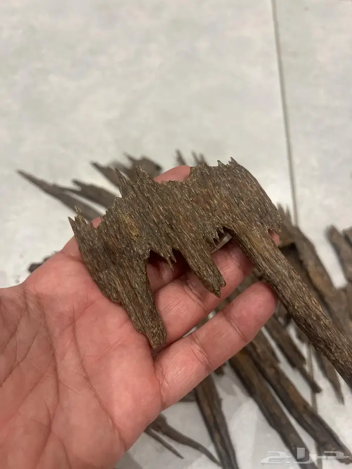 عود سيوفي فاخر دبل سوبر نقوه 3