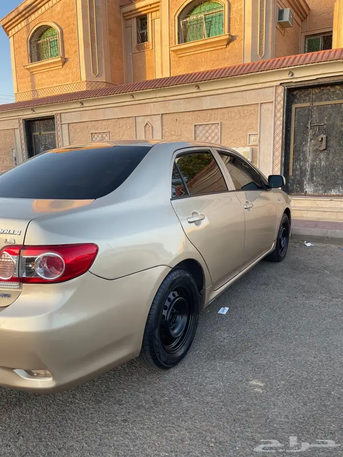 محافظه الحائط 0