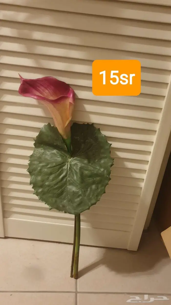 شموع و ورد مجفف 9