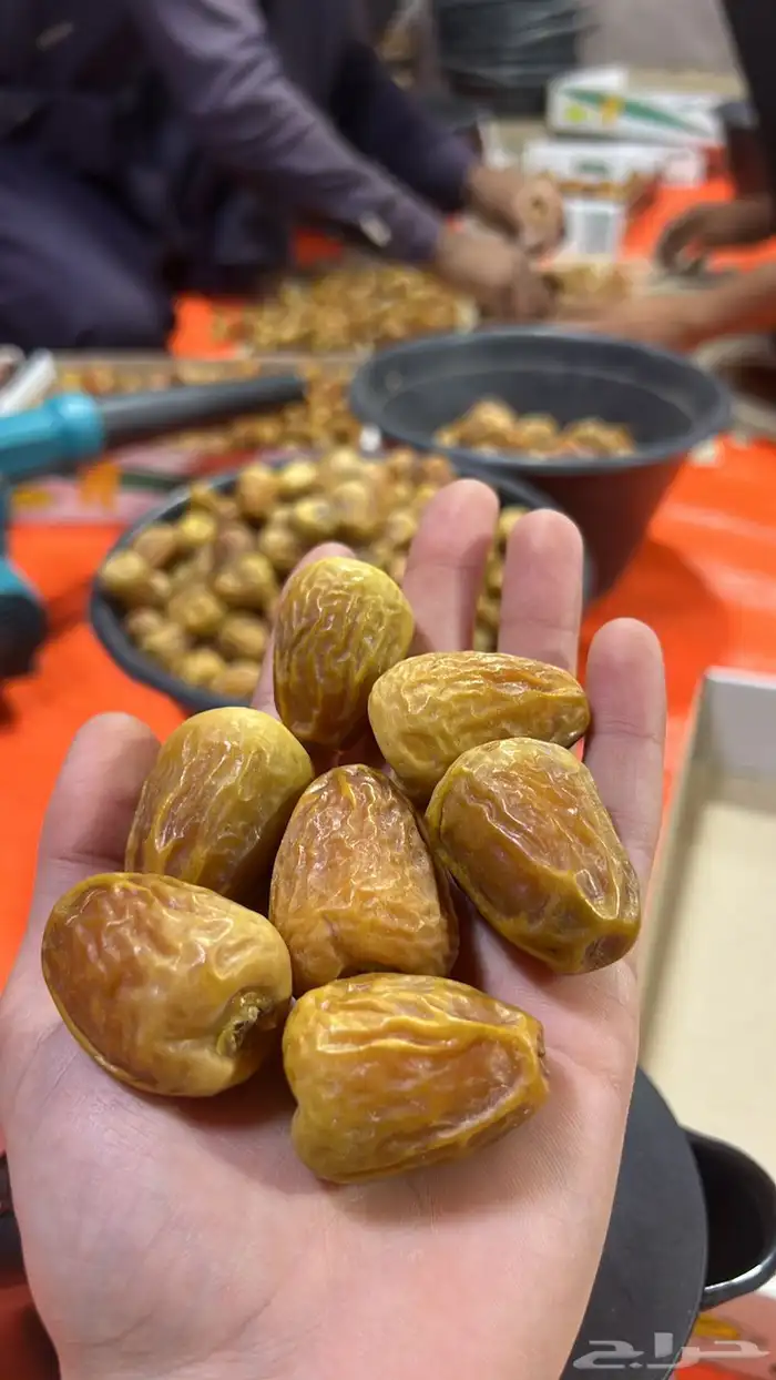 تمر القصيم سكري مفتل فاخر 3