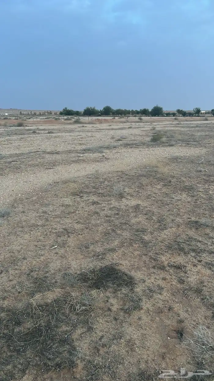 للبيع أرض زراعيه بحي النظيم حائل موقق 5