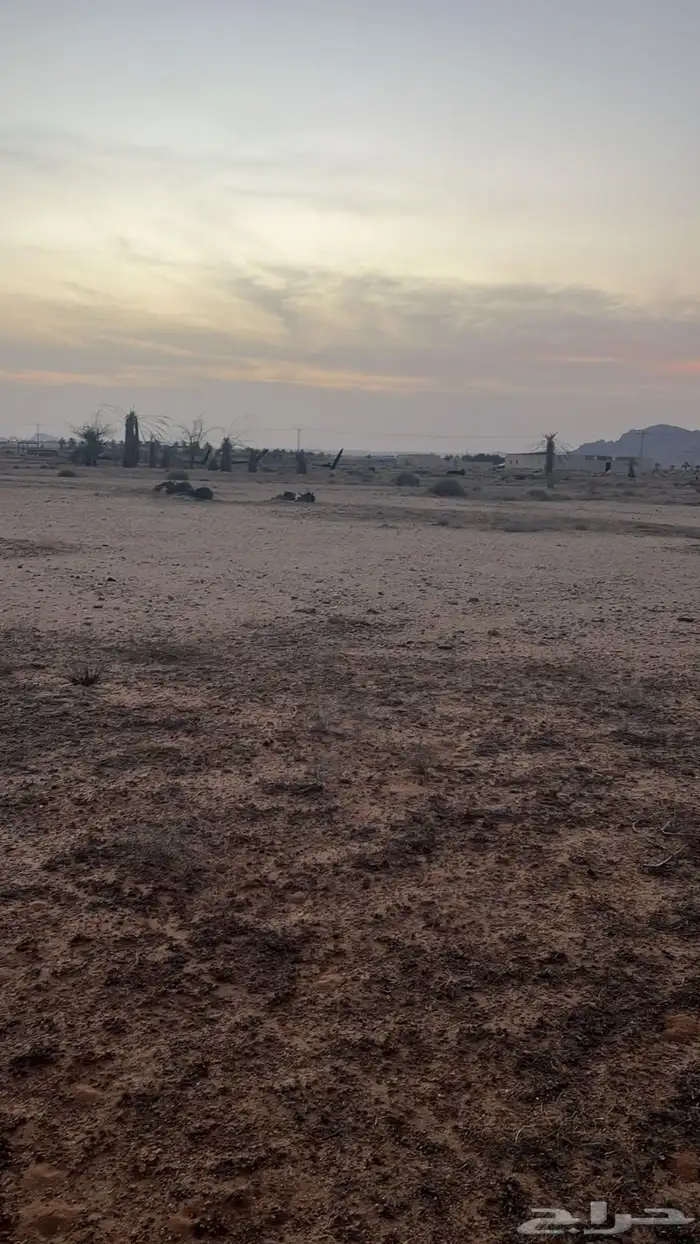 للبيع أرض زراعيه بحي النظيم حائل موقق 3