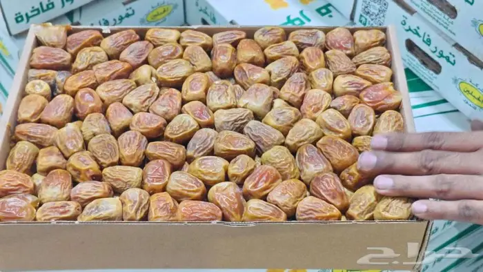 تمر سكري مفتل خراف جديد والحبه طيبه المزارع خاصه وشي طيب 1