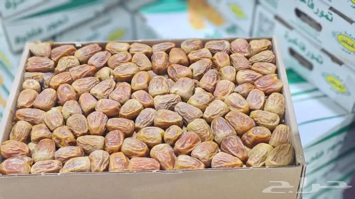 تمر سكري مفتل خراف جديد والحبه طيبه المزارع خاصه وشي طيب 0