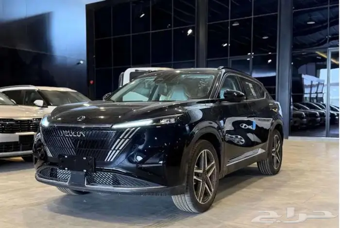 دونج فينج ميج فل 2025 عرض خاص 4