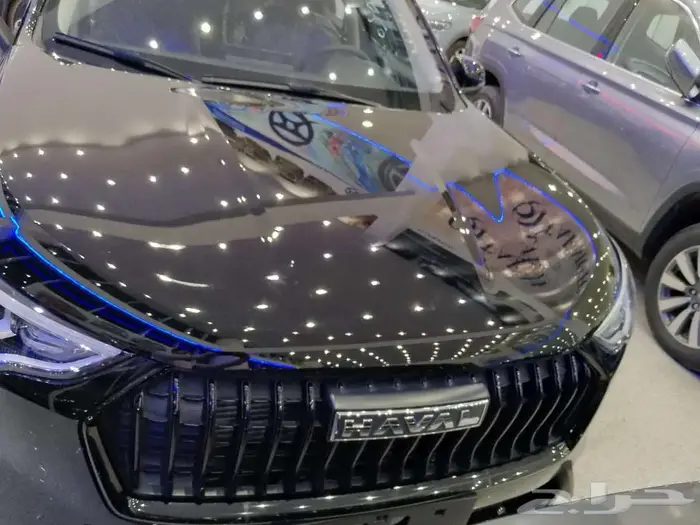 هافال جوليان بيسك 2025-عازل حرارى مجانى 0
