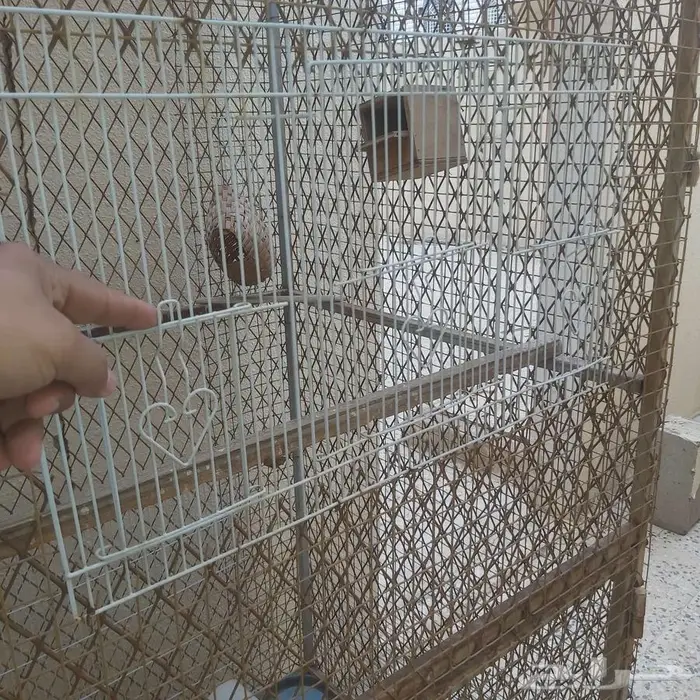 قفص عشة طيور وببغاء 2