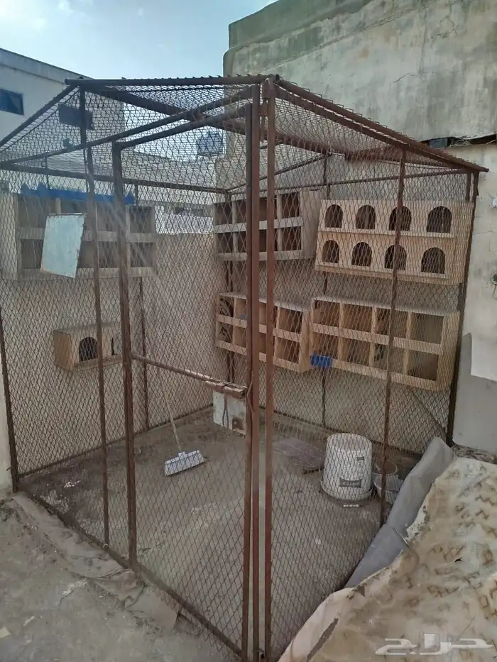 للبيع شبك حمام 0