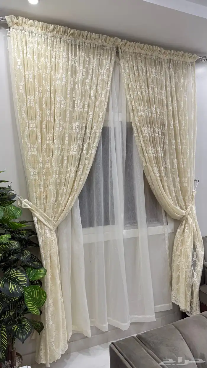 سجاد   كنب   ستاره   ستاير   مقلط   ظهر 6