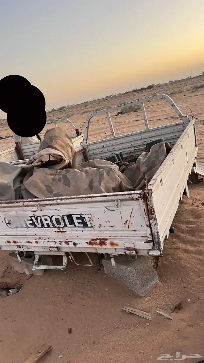 حوض ددسن وشاصي ددسن 2