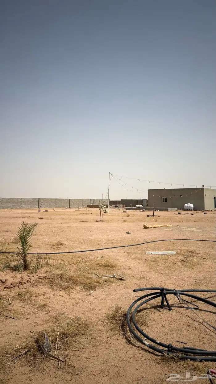 استر ا حه في شمال القرين ( للاجار) 1
