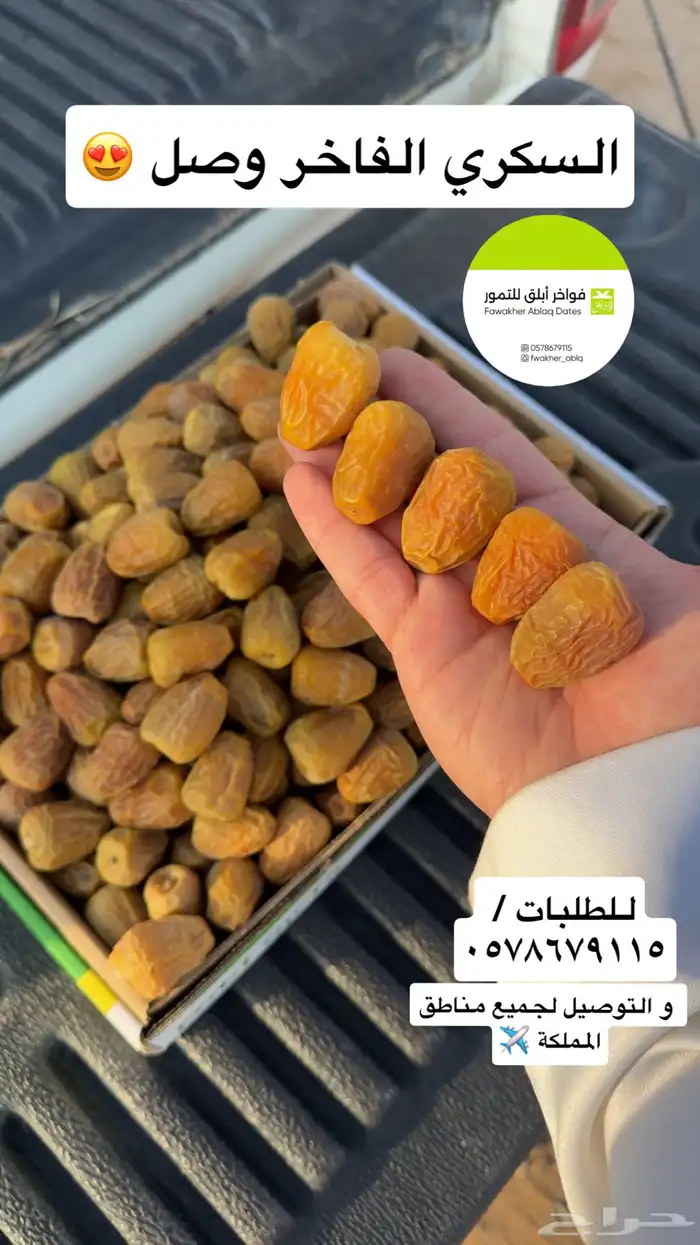 تمر سكري 2