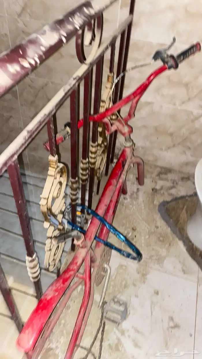هيكل سيكل كوبرا نظيف 1