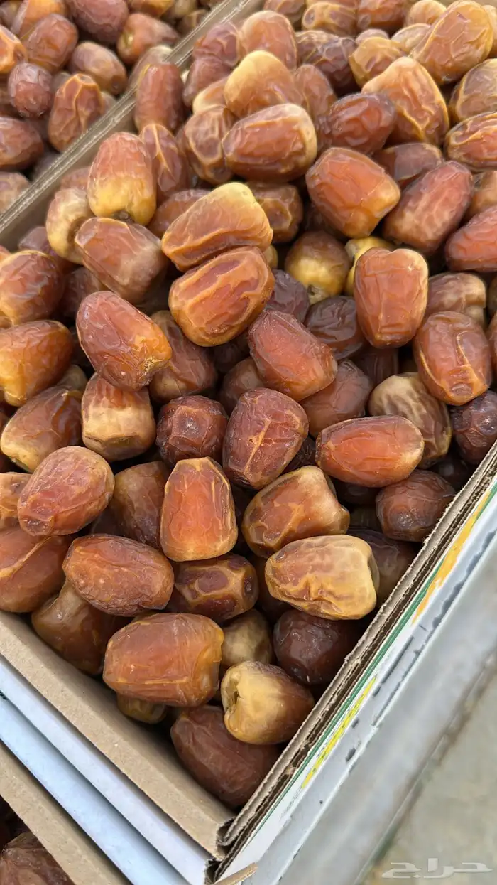 تمر جلكسي 3