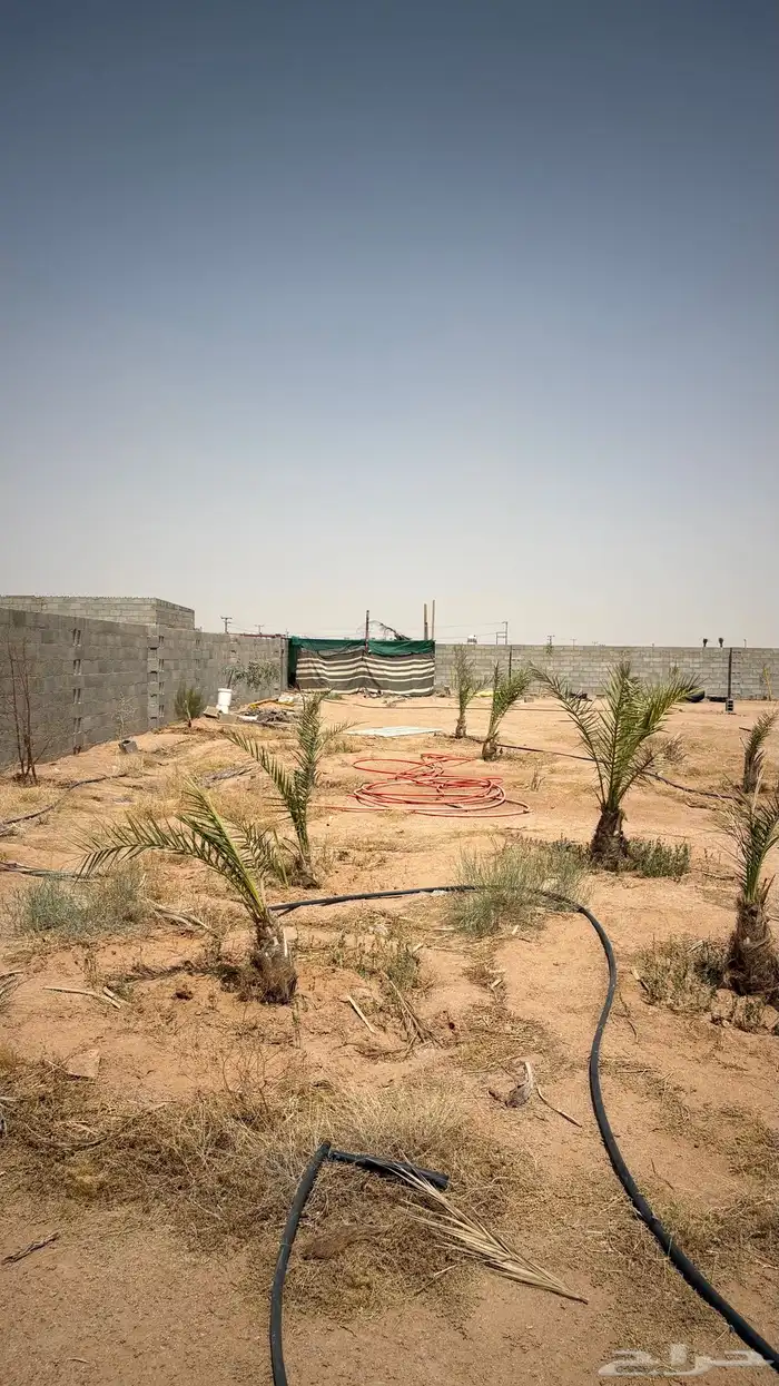 استر ا حه في شمال القرين ( للاجار) 0