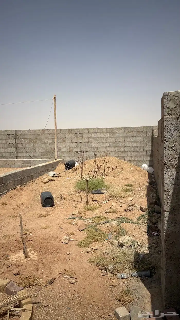 استر ا حه في شمال القرين ( للاجار) 17