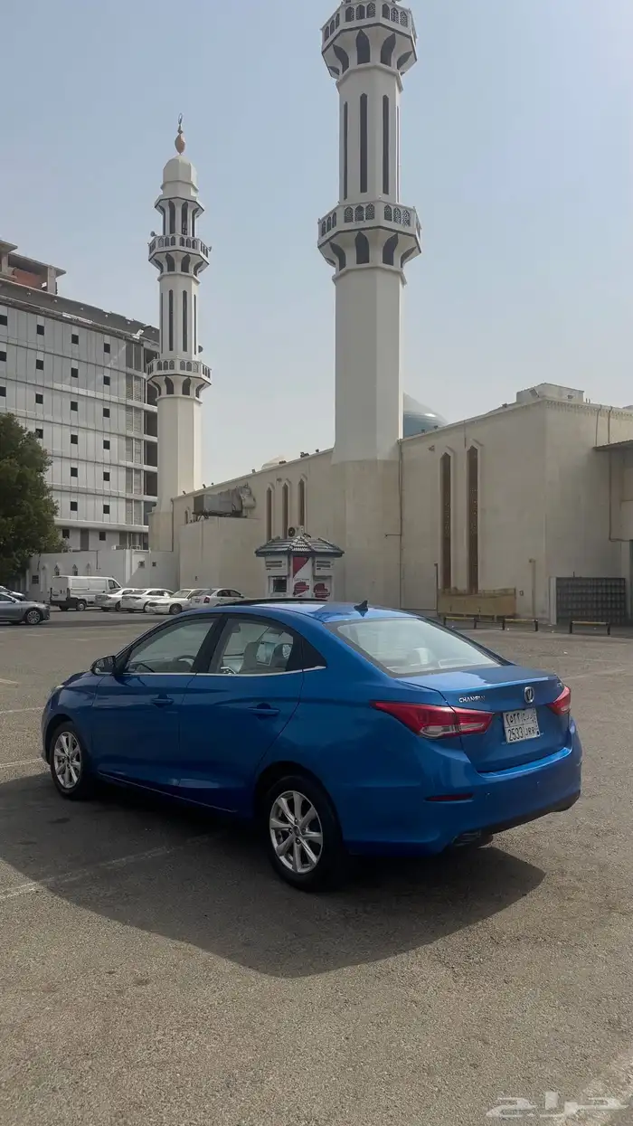 تم البيع الله يبارك للمشتري 4