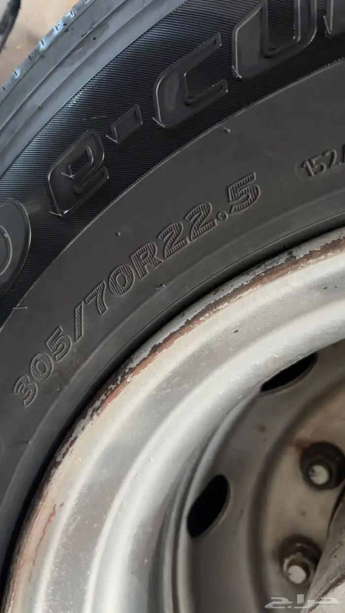 راس البي موديل 91 2