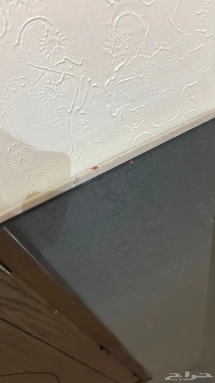 باطرما قماش القثمي 5