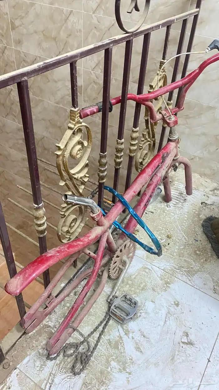 هيكل سيكل كوبرا نظيف 3
