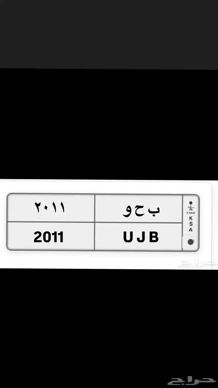 لوحة 2011 0