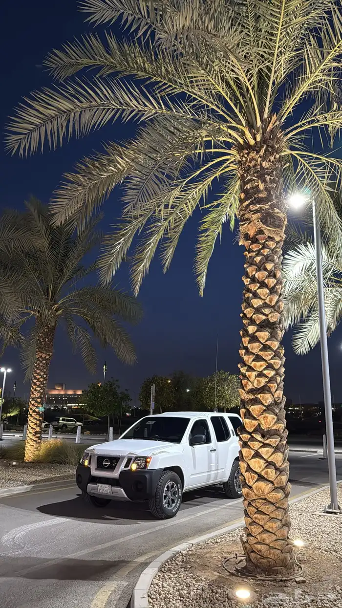 نيسان اكس تيرا 0