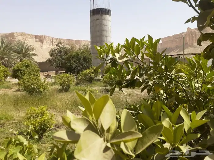 رحيم افغاني 1