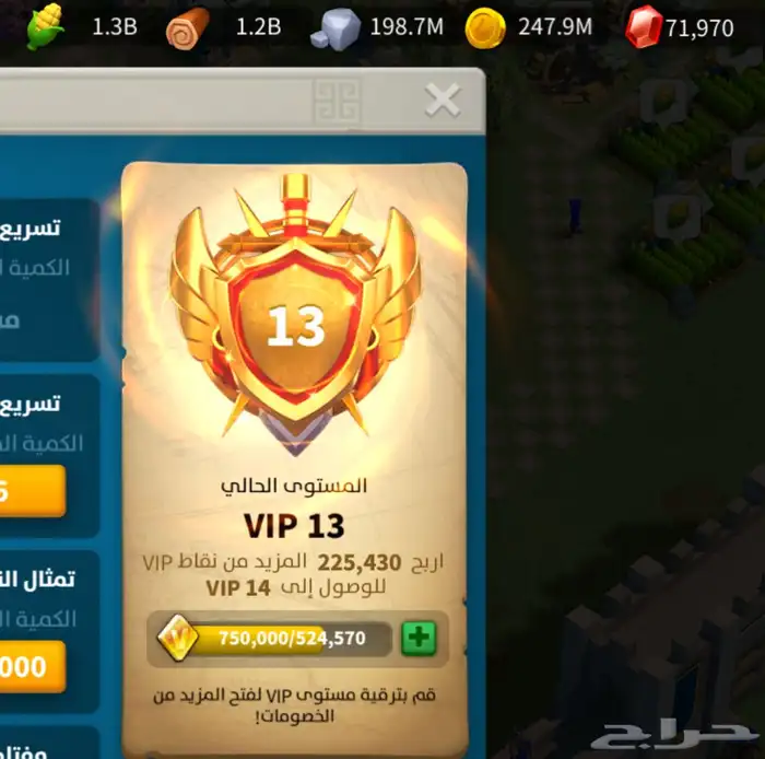 حساب رايز معه ثلاث مزارع 6