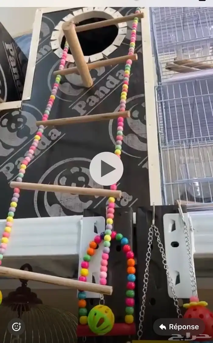 محمية الطيور المغردة 4