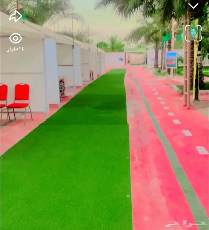 منتجع بالمز الريفي القصيم البدائع 1