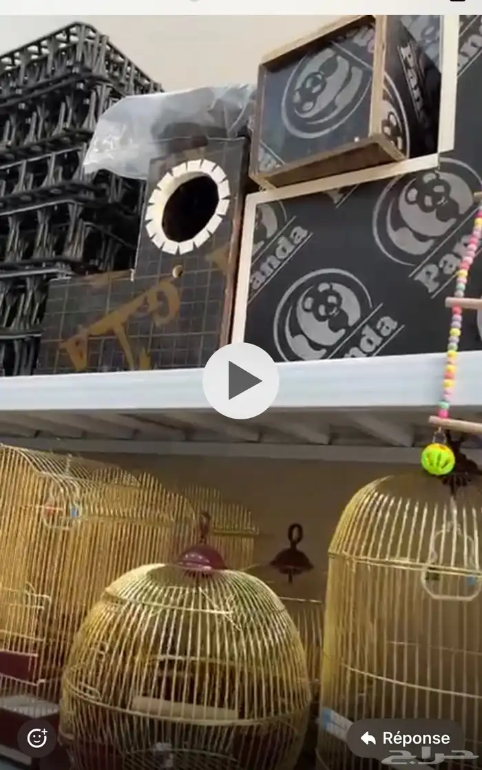 محمية الطيور المغردة 2