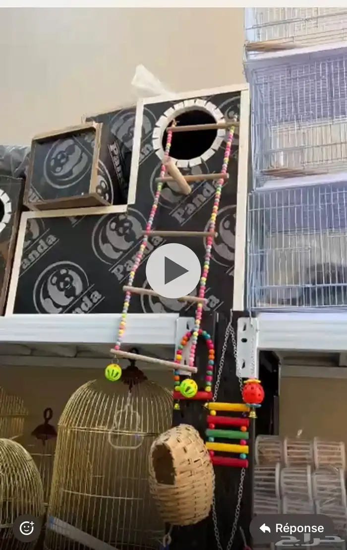 محمية الطيور المغردة 3