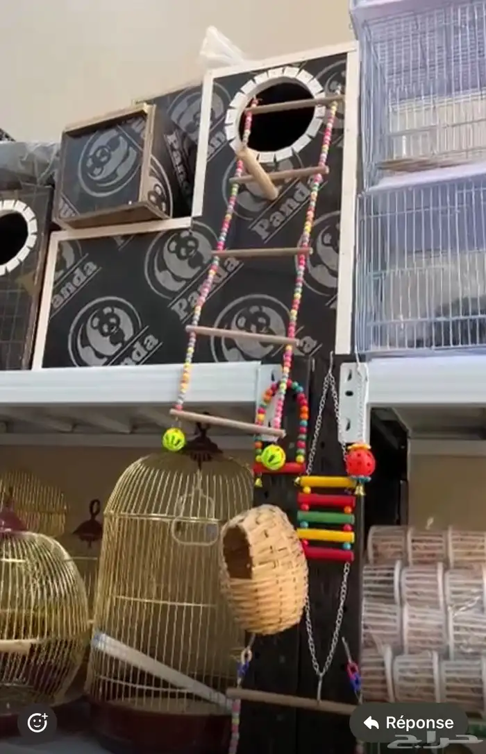 محمية الطيور المغردة 0