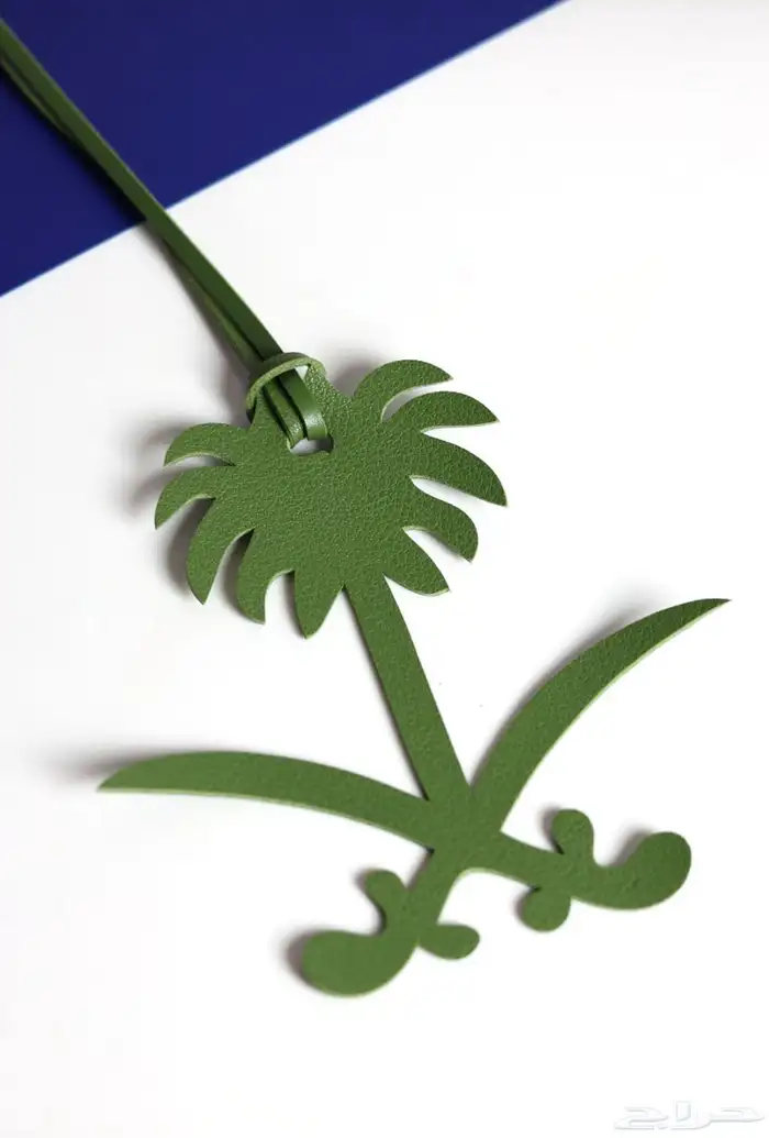 توزيعات اليوم الوطني 3