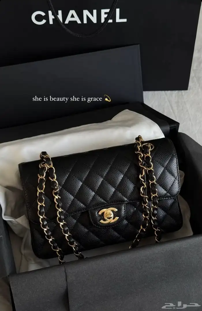 شنطة شانيل كلاسيك فلاب (Chanel Classic Flap Bag 0