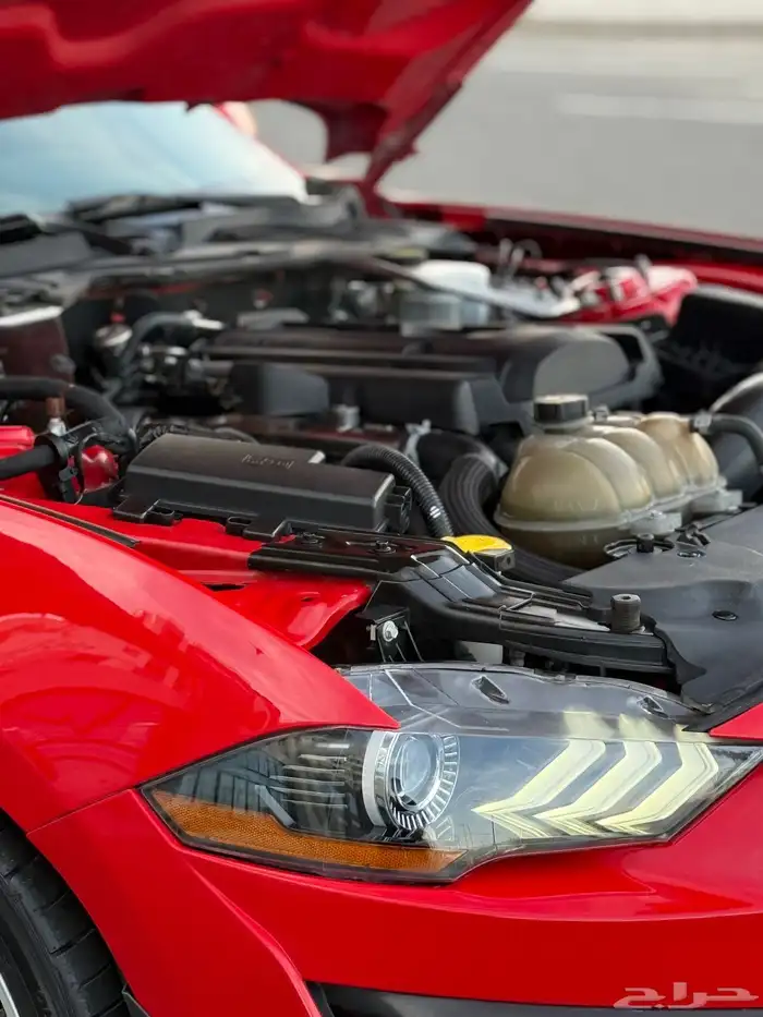 فورد موستنج 2019 ايكو بوست 31