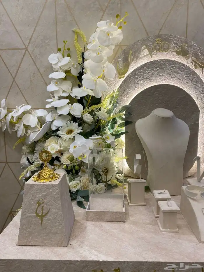 عربية شبكه 3