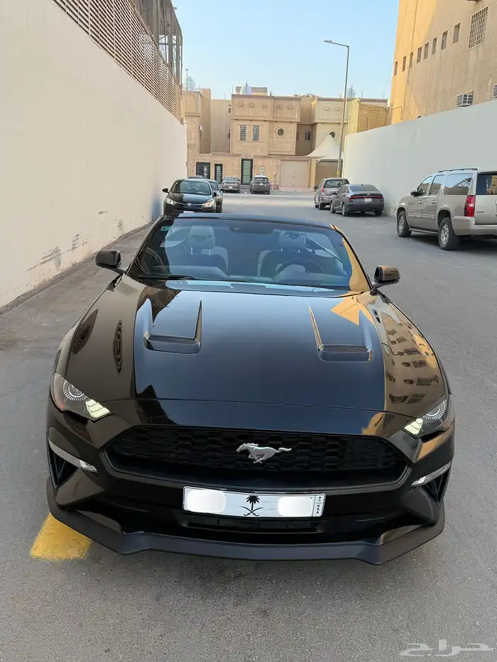 موستنج 2018 9